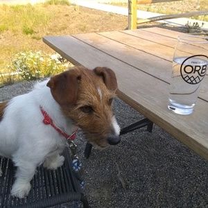 Meet your Posher, Jeraldine